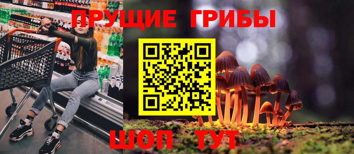 Галлюциногенные грибы Cubensis Гусь-Хрустальный